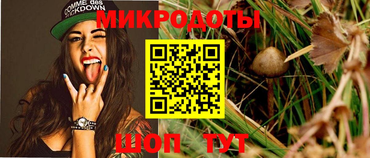 Галлюциногенные грибы Magic Shrooms Михайловка